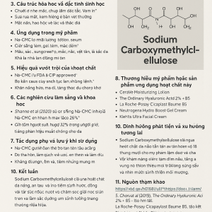 Sodium Carboxymethylcellulose La Hoat Chat Gi Cong Dung Trong Duoc My Pham