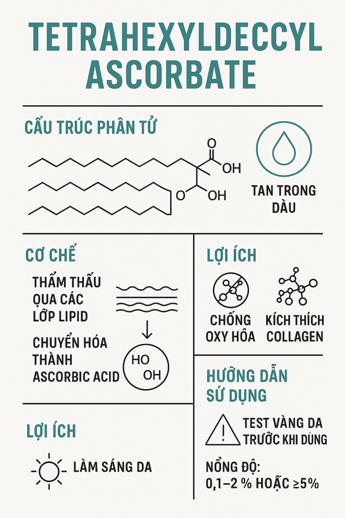 Tetrahexyldecyl Ascorbate La Hoat Chat Gi Cong Dung Trong Duoc My Pham
