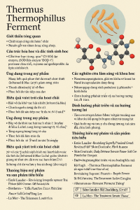 Thermus Thermophillus Ferment La Hoat Chat Gi Cong Dung Trong Duoc My Pham