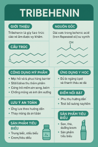 Tribehenin La Hoat Chat Gi Cong Dung Trong Duoc My Pham