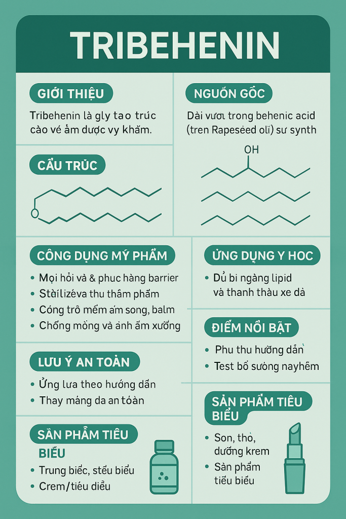 Tribehenin Là Hoạt Chất Gì, Công Dụng Trong Dược Mỹ Phẩm 8 Tribehenin La Hoat Chat Gi Cong Dung Trong Duoc My Pham