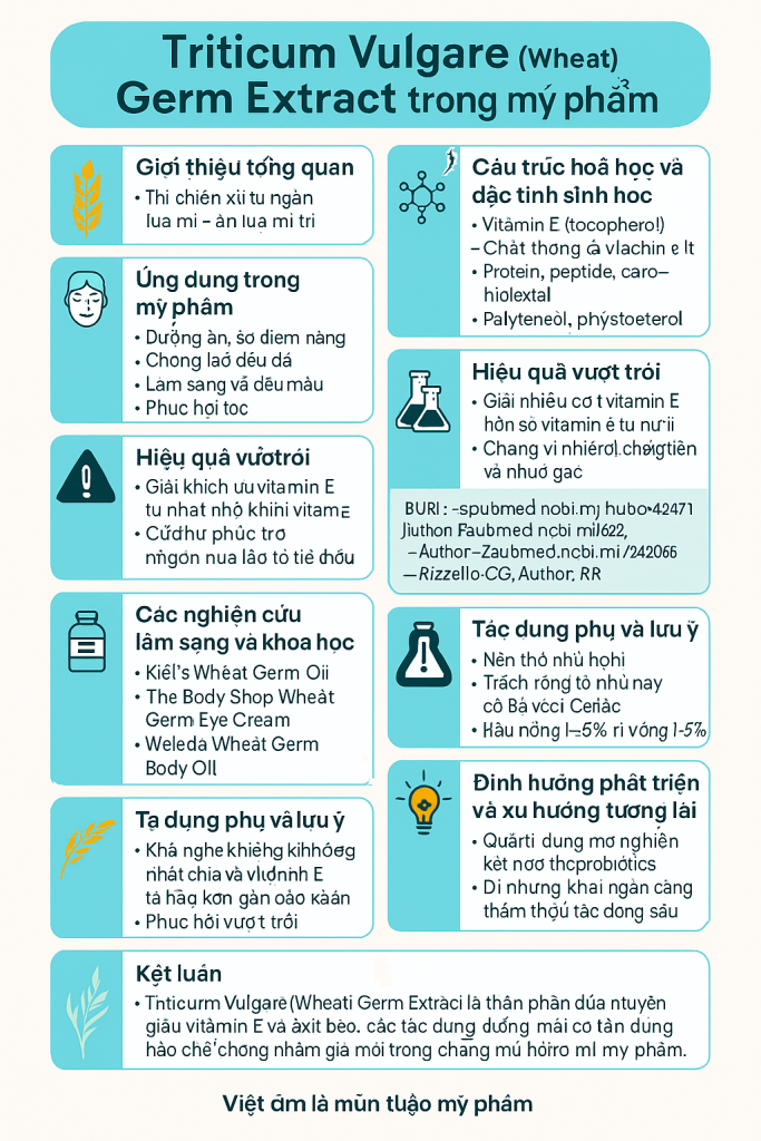 Triticum Vulgare Wheat Germ Extract La Hoat Chat Gi Cong Dung Trong Duoc My Pham