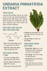 Undaria Pinnatifida Extract La Hoat Chat Gi Cong Dung Trong Duoc My Pham