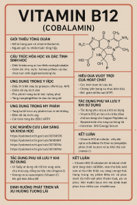 Vitamin B12 Cobalamin La Hoat Chat Gi Cong Dung Trong Duoc My Pham