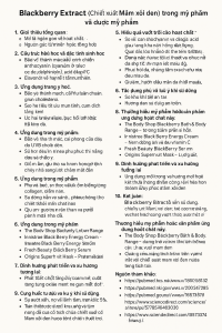 Blackberry Extract La Hoat Chat Gi Cong Dung Trong Duoc My Pham