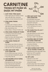 Carnitine La Hoat Chat Gi Cong Dung Trong Duoc My Pham