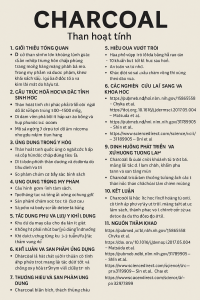 Charcoal La Hoat Chat Gi Cong Dung Trong Duoc My Pham