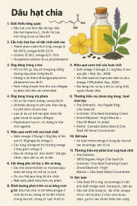 Chia Seed Oil La Hoat Chat Gi Cong Dung Trong Duoc My Pham