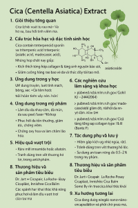 Cica Centella Asiatica Extract La Hoat Chat Gi Cong Dung Trong Duoc My Pham
