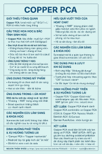 Copper PCA La Hoat Chat Gi Cong Dung Trong Duoc My Pham