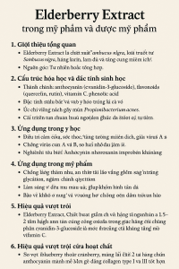 Elderberry Extract La Hoat Chat Gi Cong Dung Trong Duoc My Pham