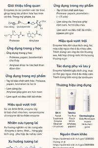 Enzymes Protease Lipase Amylase La Hoat Chat Gi Cong Dung Trong Duoc My Pham