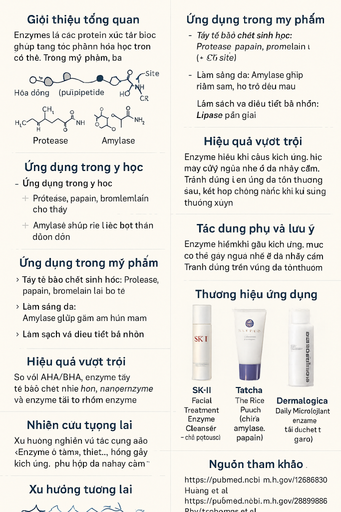 Enzymes Protease Lipase Amylase La Hoat Chat Gi Cong Dung Trong Duoc My Pham