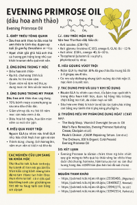 Evening Primrose Oil La Hoat Chat Gi Cong Dung Trong Duoc My Pham