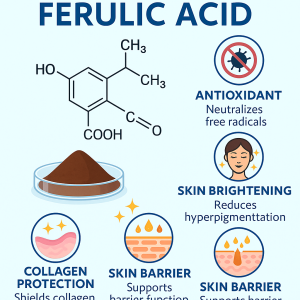 Ferulic Acid La Hoat Chat Gi Cong Dung Trong Duoc My Pham