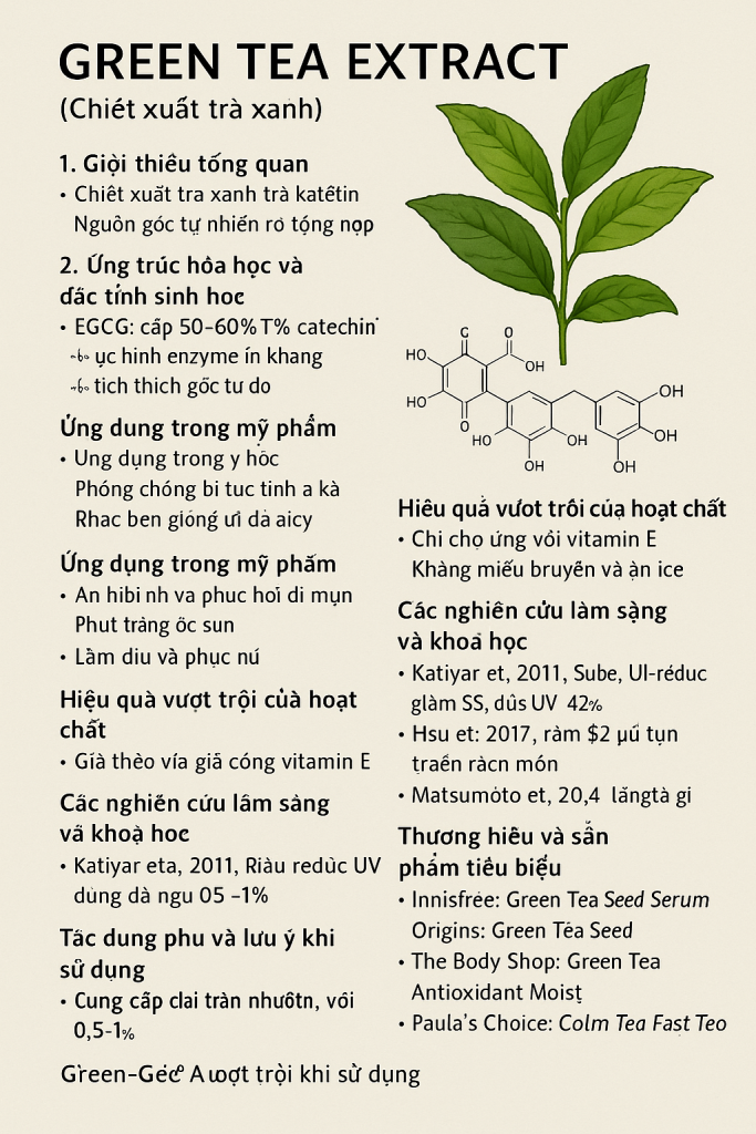 Green Tea Extract La Hoat Chat Gi Cong Dung Trong Duoc My Pham