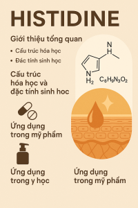 Histidine La Hoat Chat Gi Cong Dung Trong Duoc My Pham