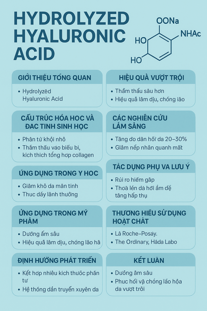 Hydrolyzed Hyaluronic Acid La Hoat Chat Gi Cong Dung Trong Duoc My Pham