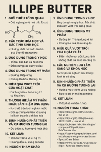 Illipe Butter La Hoat Chat Gi Cong Dung Trong Duoc My Pham