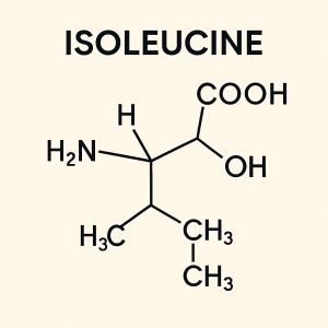Isoleucine La Hoat Chat Gi Cong Dung Trong Duoc My Pham