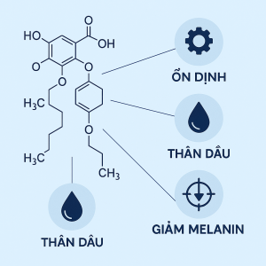 Kojic Dipalmitate La Hoat Chat Gi Cong Dung Trong Duoc My Pham