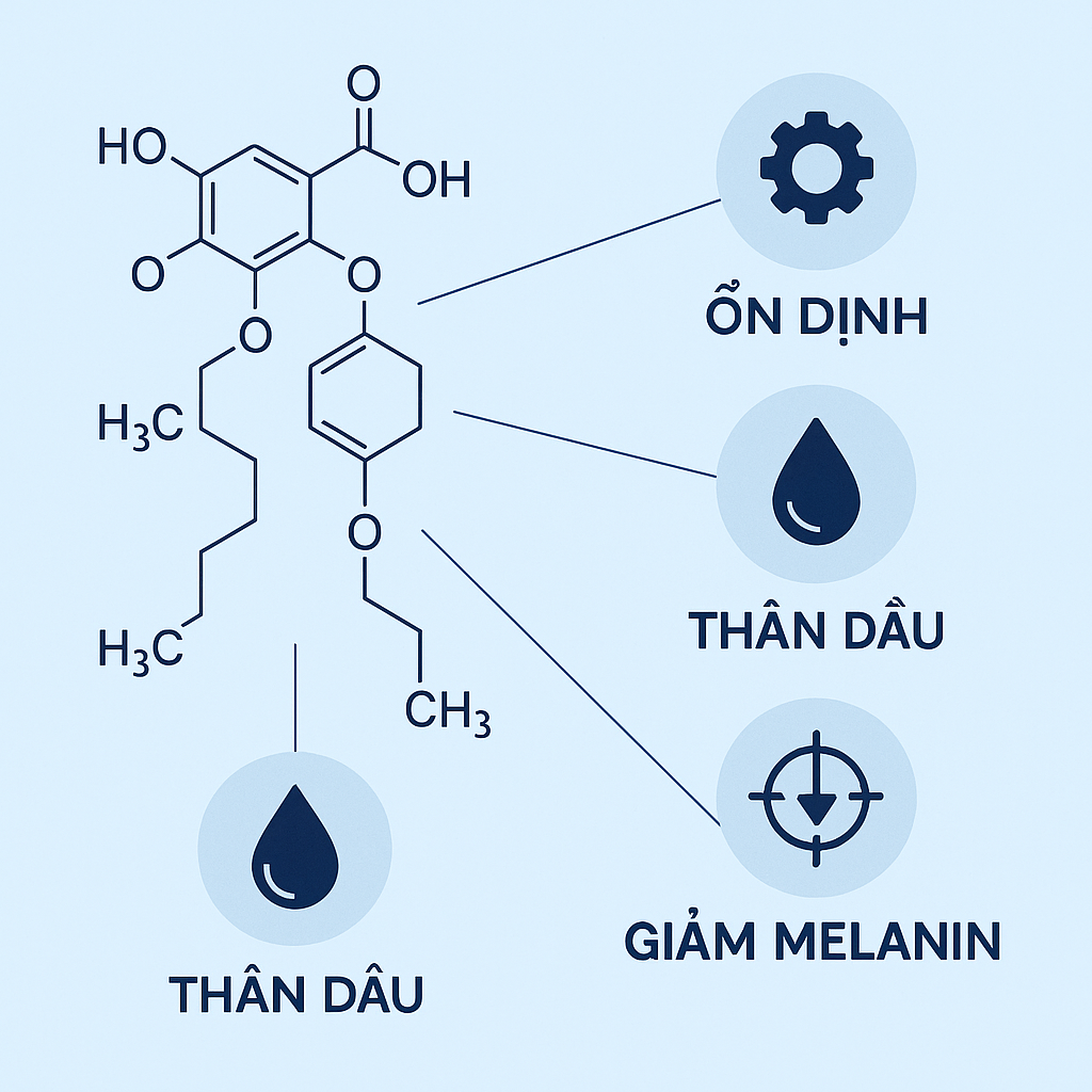Kojic Dipalmitate La Hoat Chat Gi Cong Dung Trong Duoc My Pham