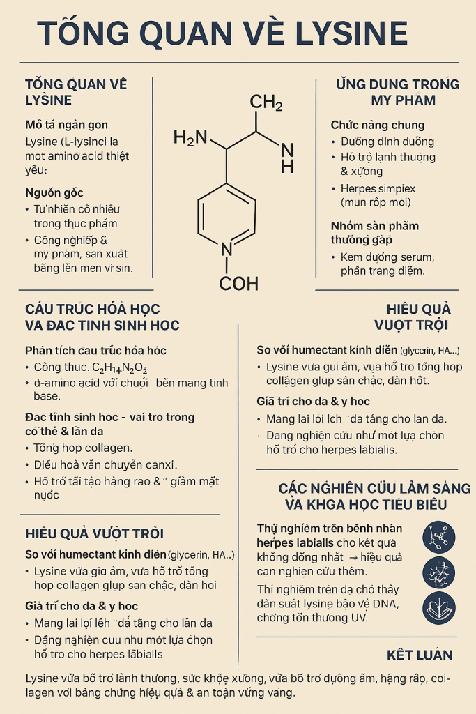 Lysine La Hoat Chat Gi Cong Dung Trong Duoc My Pham