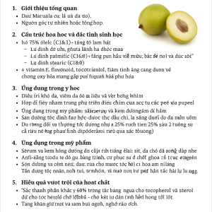 Marula Oil La Hoat Chat Gi Cong Dung Trong Duoc My Pham