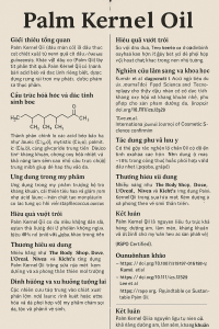 Palm Kernel Oil La Hoat Chat Gi Cong Dung Trong Duoc My Pham