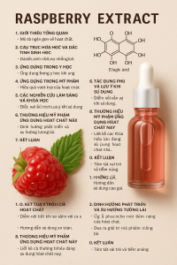 Raspberry Extract La Hoat Chat Gi Cong Dung Trong Duoc My Pham