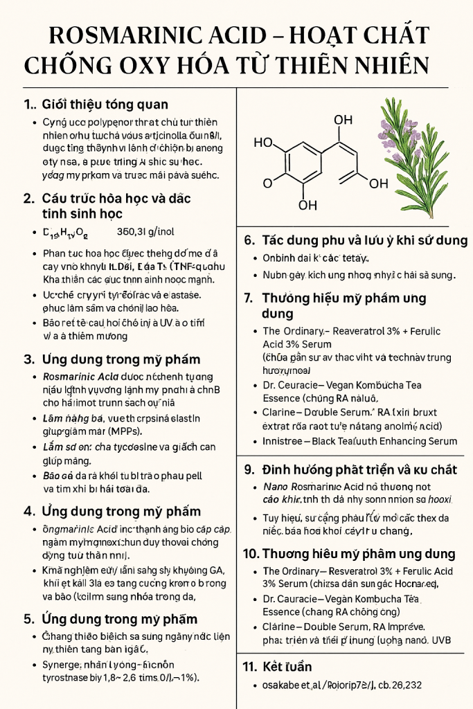 Rosmarinic Acid La Hoat Chat Gi Cong Dung Trong Duoc My Pham