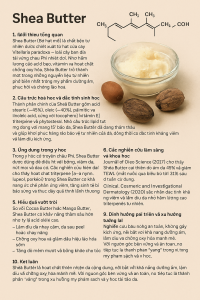Shea Butter La Hoat Chat Gi Cong Dung Trong Duoc My Pham