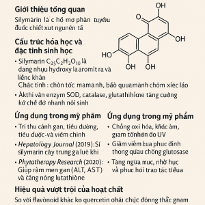 Silymarin La Hoat Chat Gi Cong Dung Trong Duoc My Pham