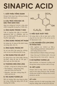 Sinapic Acid La Hoat Chat Gi Cong Dung Trong Duoc My Pham