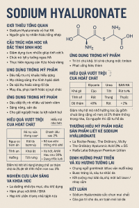 Sodium Hyaluronate La Hoat Chat Gi Cong Dung Trong Duoc My Pham