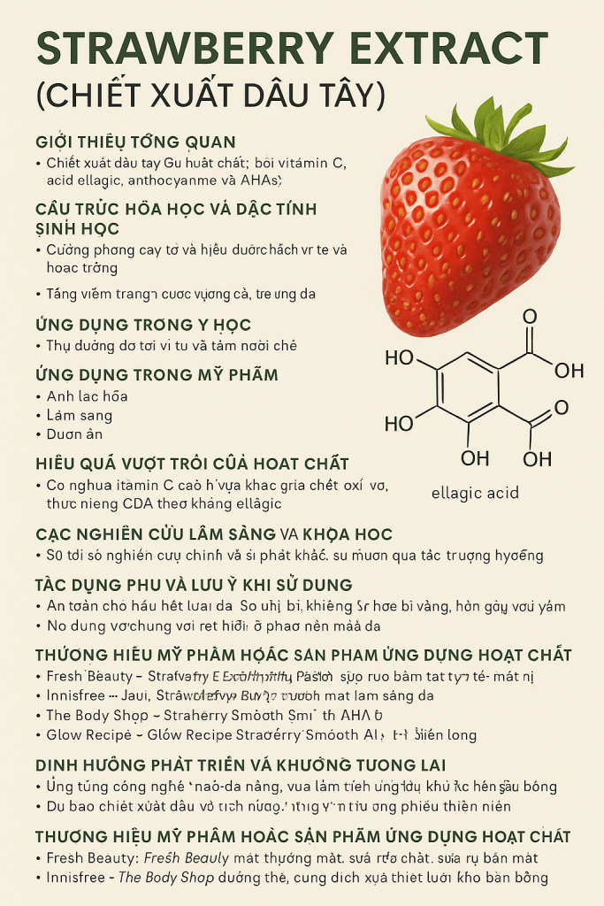 Strawberry Extract La Hoat Chat Gi Cong Dung Trong Duoc My Pham
