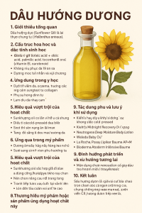 Sunflower Oil La Hoat Chat Gi Cong Dung Trong Duoc My Pham