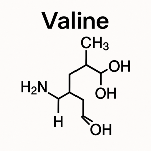 Valine La Hoat Chat Gi Cong Dung Trong Duoc My Pham