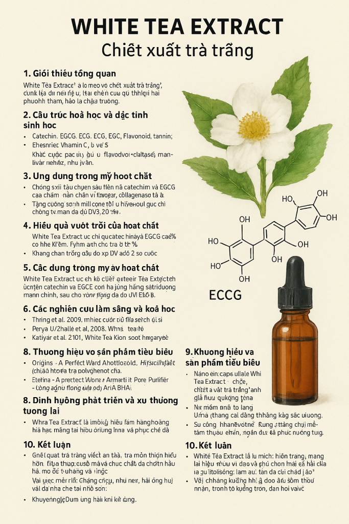 White Tea Extract La Hoat Chat Gi Cong Dung Trong Duoc My Pham