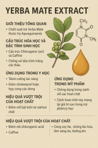 Yerba Mate Extract La Hoat Chat Gi Cong Dung Trong Duoc My Pham