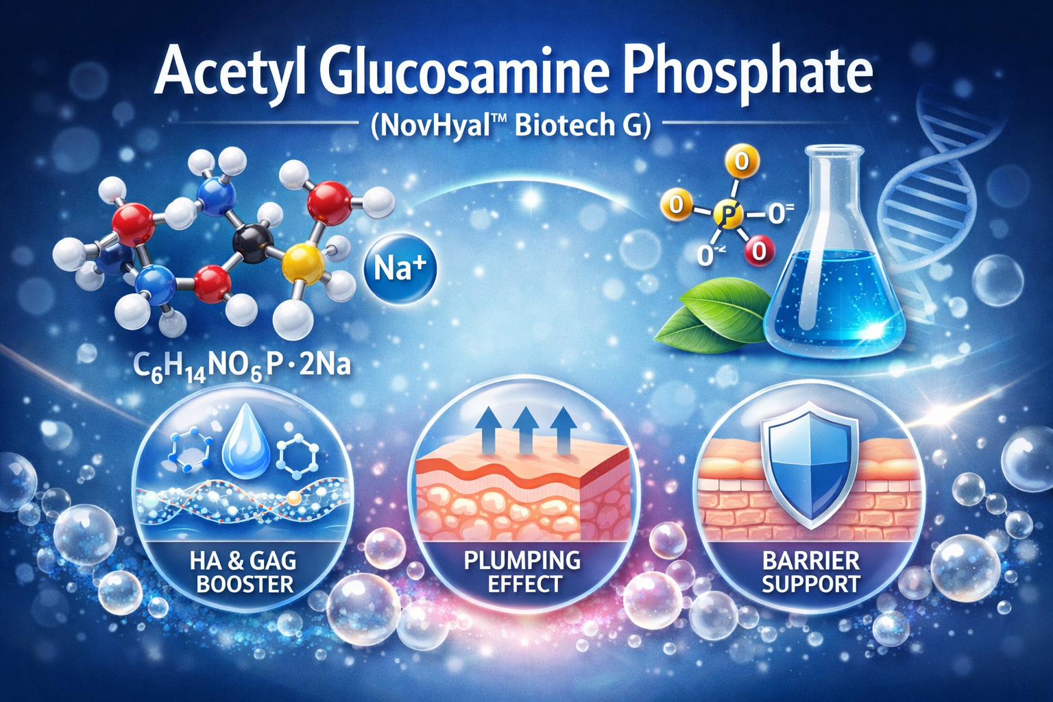 Acetyl Glucosamine Phosphate La Hoat Chat Gi Cong Dung Trong Duoc My Pham