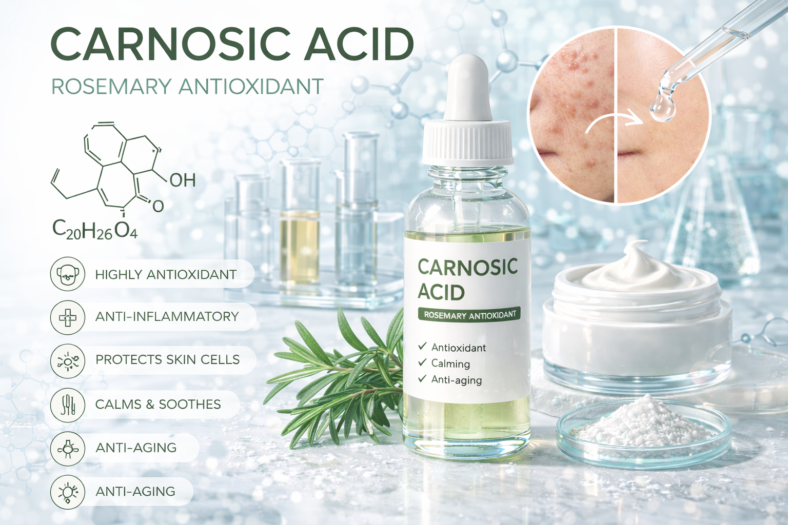 Carnosic Acid La Hoat Chat Gi Cong Dung Trong Duoc My Pham