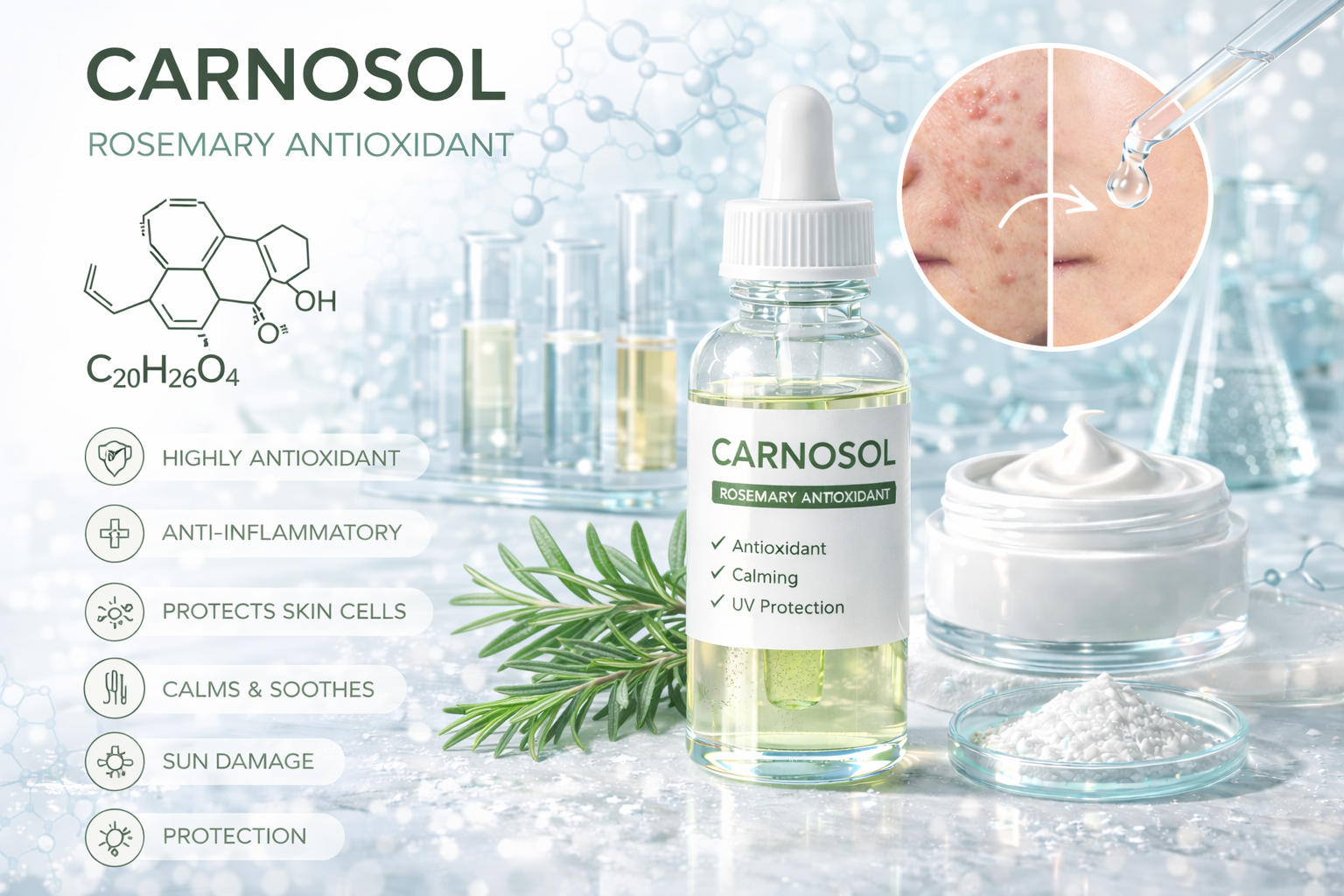 Carnosol La Hoat Chat Gi Cong Dung Trong Duoc My Pham