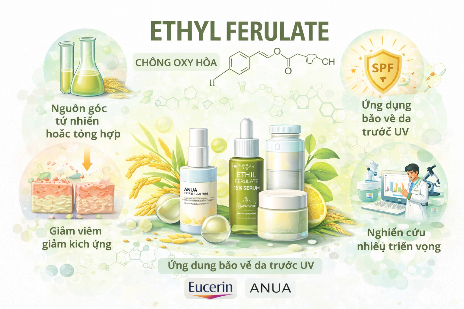 Ethyl Ferulate La Hoat Chat Gi Cong Dung Trong Duoc My Pham