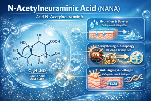 N Acetylneuraminic Acid La Hoat Chat Gi Cong Dung Trong Duoc My Pham