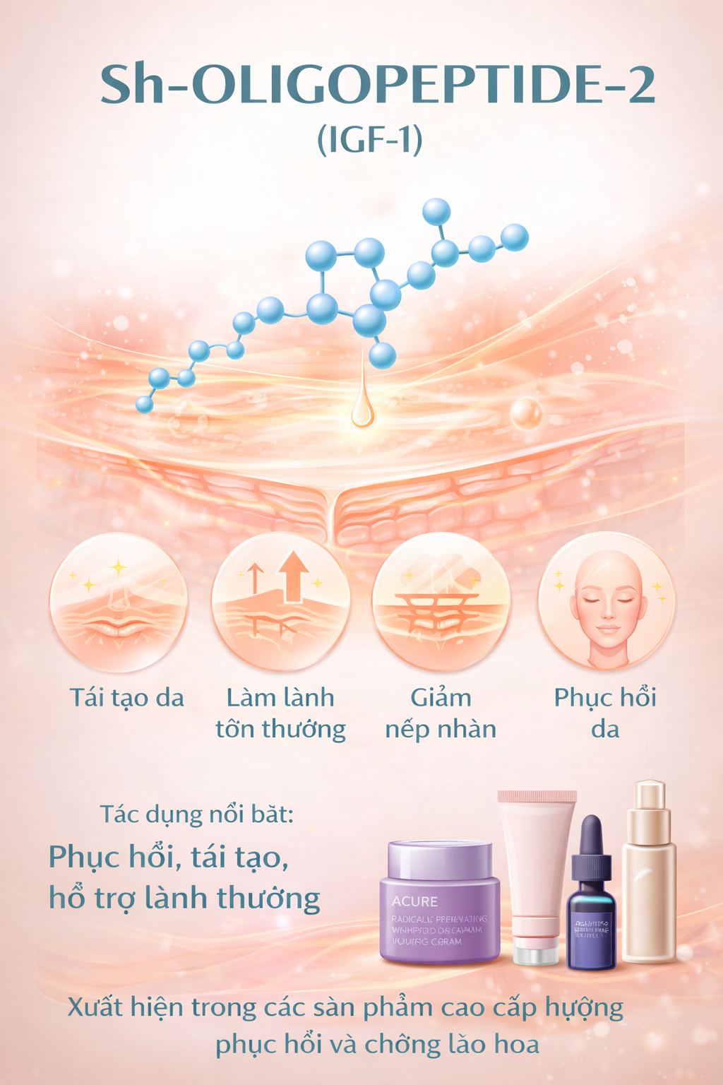 Sh Oligopeptide 2 La Hoat Chat Gi Cong Dung Trong Duoc My Pham