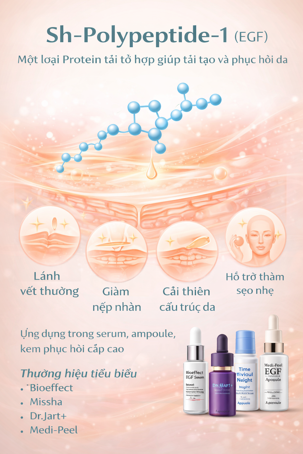 Sh Polypeptide 1 La Hoat Chat Gi Cong Dung Trong Duoc My Pham