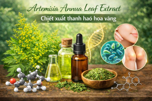 artemisia annua leaf extract la hoat chat gi cong dung trong duoc my pham