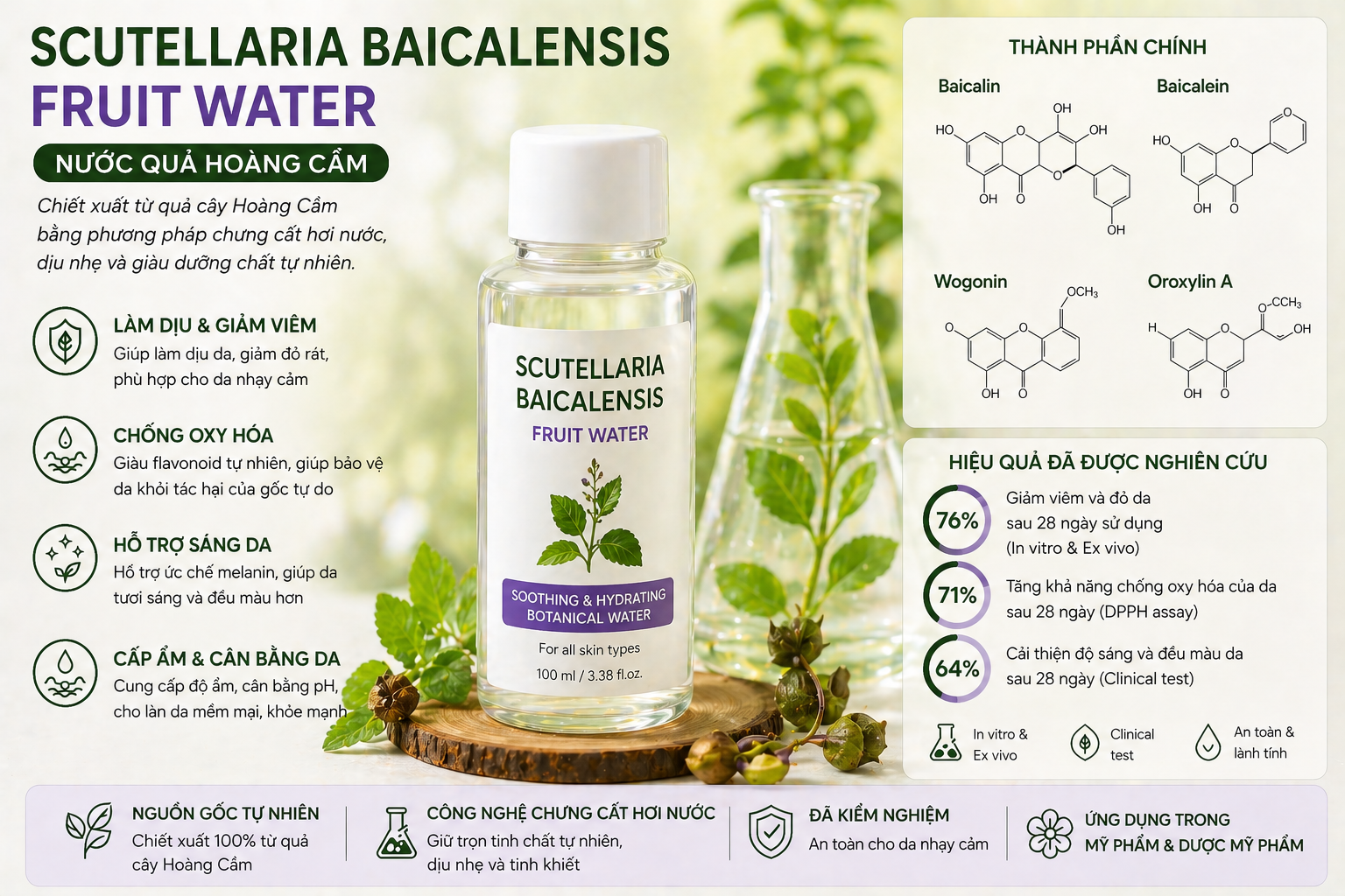 scutellaria baicalensis fruit water la hoat chat gi cong dung trong duoc my pham