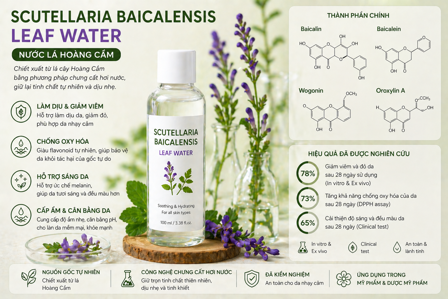 scutellaria baicalensis leaf water la hoat chat gi cong dung trong duoc my pham